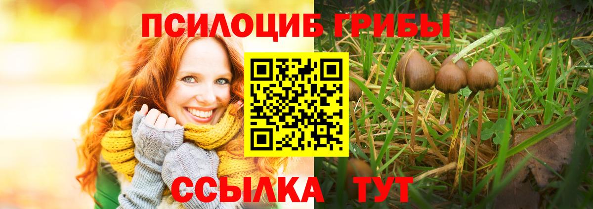 Псилоцибиновые грибы мицелий  Псилоцибиновые грибы Psilocybine cubensis  Кисловодск  Вход с VPN 